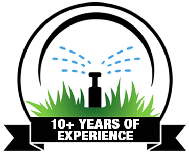 10+ Years Of Experience Badge