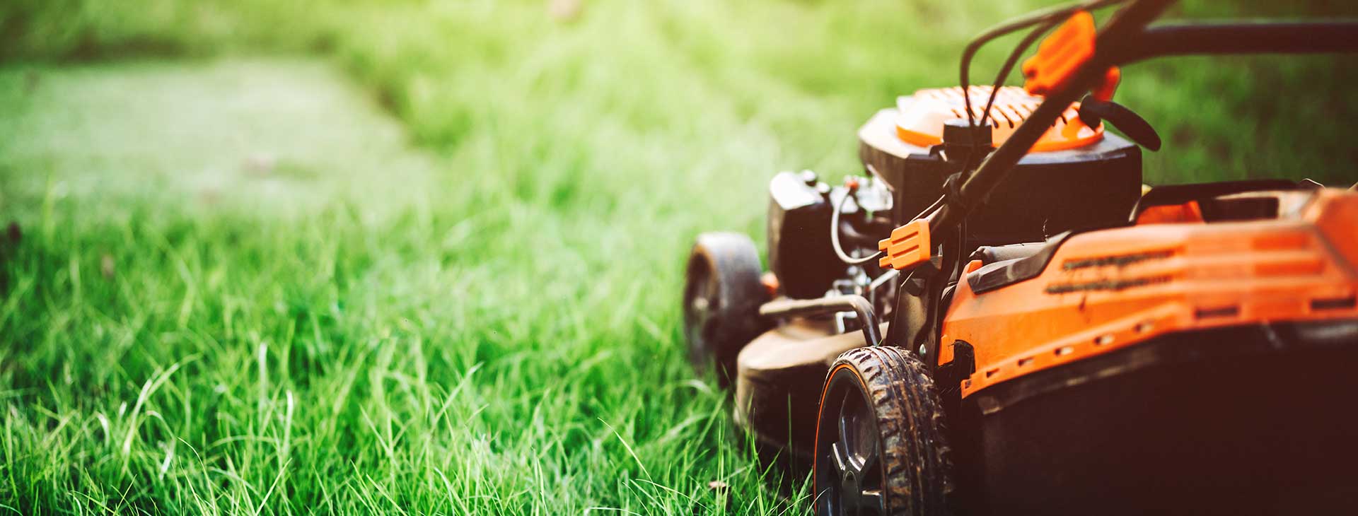 Hardscaping Services